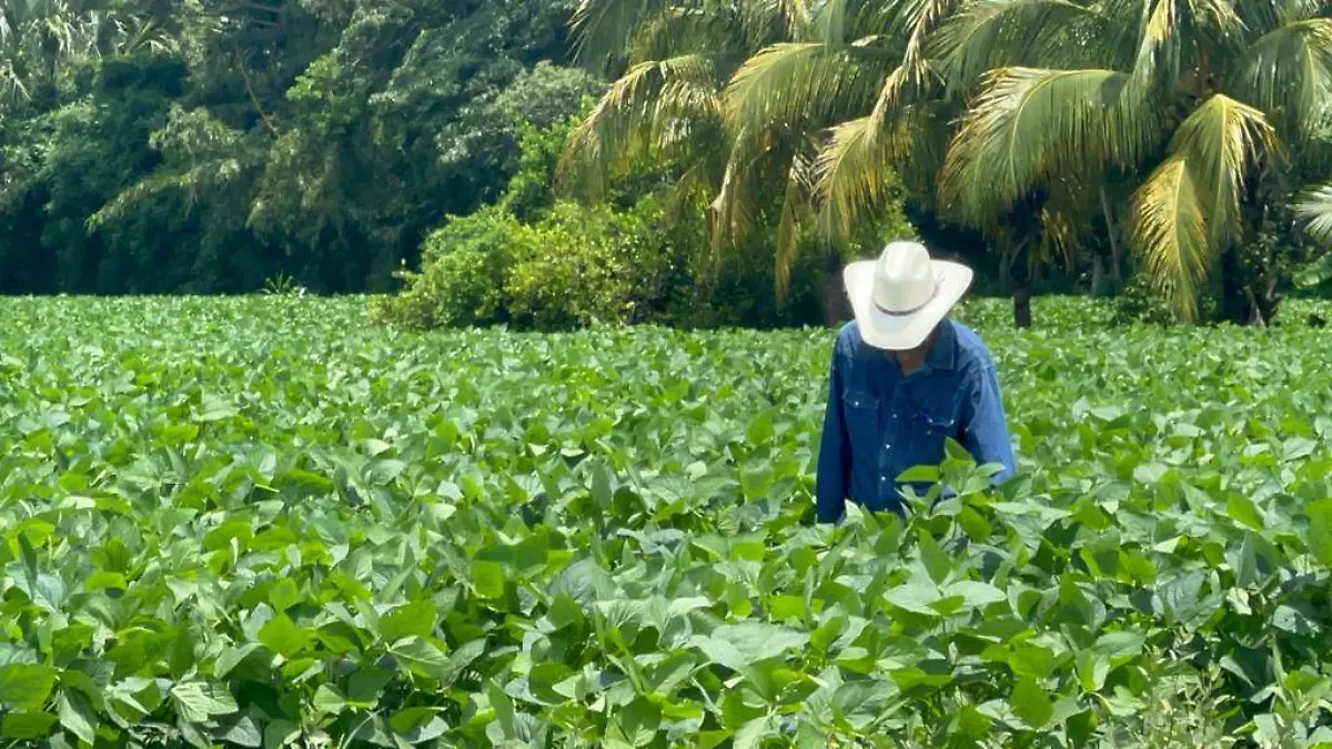 empresarios agricolas2